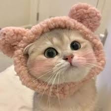 ماہ نور avatar